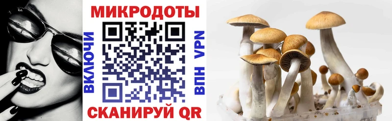 Галлюциногенные грибы MAGIC MUSHROOMS  Заринск 